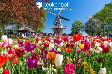 Amsterdam Airport Keukenhof Shuttle Entry with Flexible Return