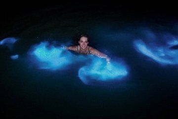 Luminous Lagoon Night Boat Tour in Jamaica