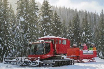 Family Après & Sleigh Ride in Whistler