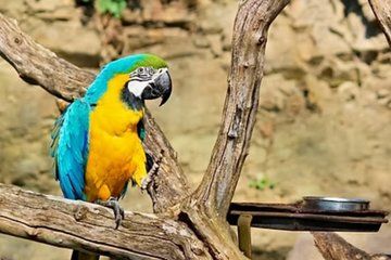 Curacao East Adventure with lunch