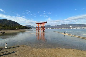 Hiroshima and Miyajima Private English Tour