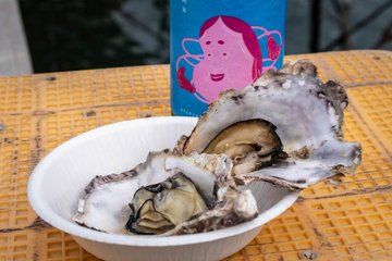 Hiroshima Oysters and Sake Tour