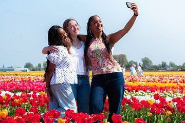 Tulip Experience Ticket Tulip Garden, Museum + Indoor PickingArea