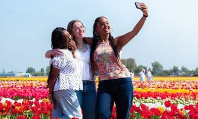 Tulip Experience Ticket Tulip Garden, Museum + Indoor PickingArea