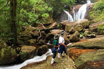 All Inclusive Sinharaja Rain Forest Guided Tour