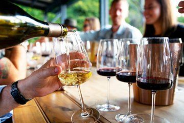 Wine and Food Tour to Martinbough