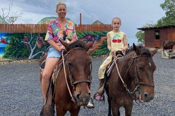 Roatan Horseback Riding with Beach Break Plus City