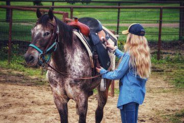 30 Minute Horseback Trail Ride in Memphis
