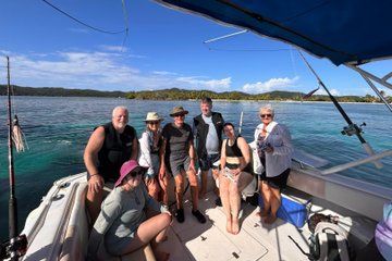 Nurse shark encounter and port royal snorkel tour