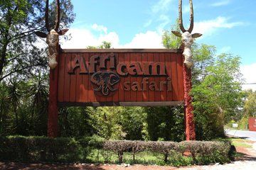 Africam Safari Private Vehicle