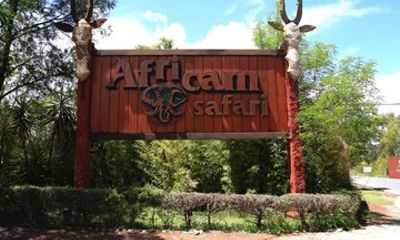 Africam Safari Private Vehicle