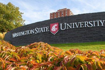 Private SUV Tour from Seattle to Washington State University