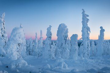 Arctic Circle and Northern Lights - Dalton Highway Winter Tour