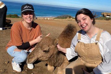 Tangier Half Day Tour Perfect for Cruise Travelers