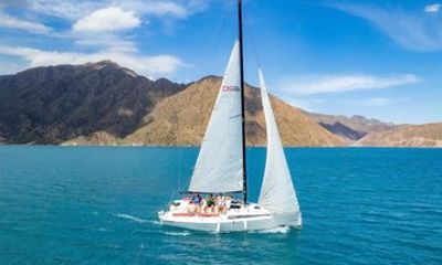 Cruise Lake Potrerillos a unique experience