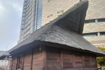 Osaka 7,000 Years of History Walking Tour in 150 Minutes