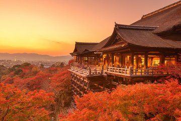 Yasaka Shrine Ninenzaka Kiyomizu dera 5 Story Pagoda Tour