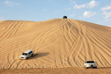 Qatar Private Half-Day Desert Safari with Camel Ride