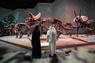Zayed National Museum Abu Dhabi Tickets