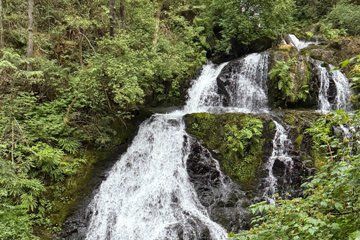 Harrison Hot Springs 1 Day Tour of Nature, Lakes and Relaxation