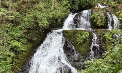 Harrison Hot Springs 1 Day Tour of Nature, Lakes and Relaxation