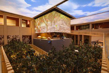 Chocolate Museum Entrance Ticket