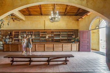 Shorex Caves Myrtos and Boutique Winery Experience