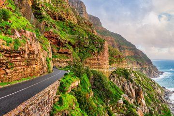 Private Shore Tour Cape Point Penguins and Atlantic Seaboard