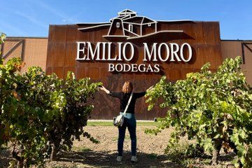 From Madrid to Ribera del Duero Vineyards and Towns Reconditos