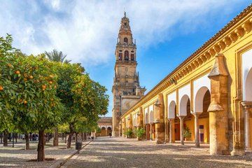 Private Tour Seville to Córdoba with Montilla-Morilles Experience