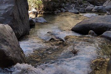 Private hiking tour in Samaria National Park