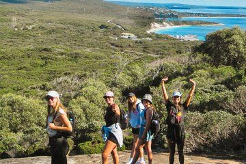 Eumundi Markets & Noosa Hinterland Day Tour from Brisbane