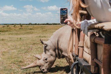 5 Day Classic Kenya Naivasha Nakuru and Maasai Mara