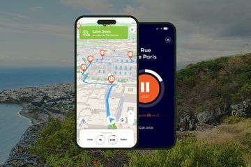 Saint-Denis Audioguided Walking Tour 2h30 and 19 reviews