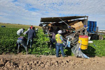 Half Day Narrated Private Farm Field and Processing Facility Tour