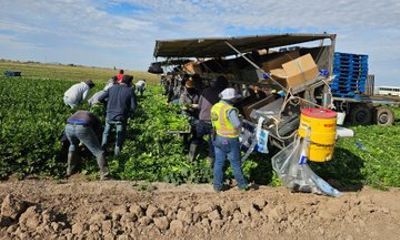 Yuma, AZ: 1/2 day private farm and produce processing tour