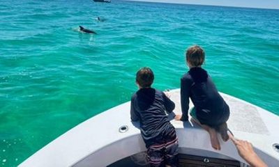 Private Dolphin and Snorkel Activity in Shell Island