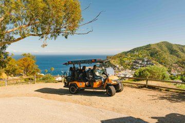 Experience Avalon Like a Local Private Golf Cart Adventure