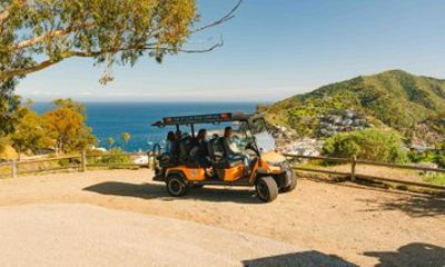 Experience Avalon Like a Local Private Golf Cart Adventure