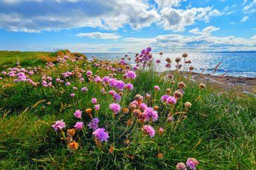 Customized and Fixed Tours of My Ireland Adventure.