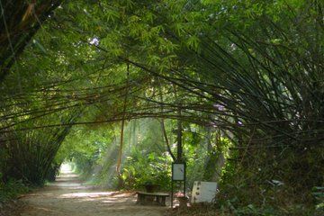 Peperpot hiking trail and historical tour