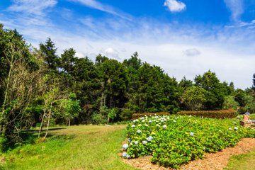 Medellin Private Flower Tour and Silletero Experience