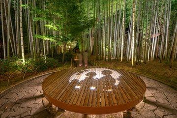 Scenic Izu and Shuzenji Culture 2 Days Tour from Mishima Station