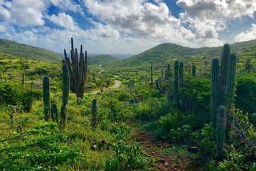 Aruba Luxury Car Private Transportation Experience