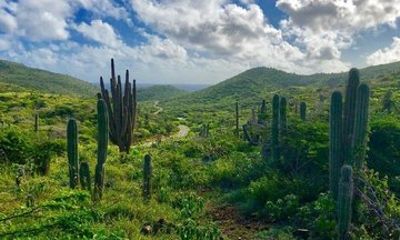Aruba Luxury Car Private Transportation Experience