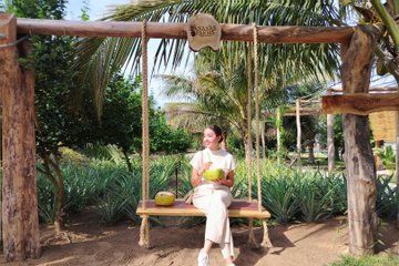 Pineapple Plantation Visit & Sinaloan Farm-to-Table Brunch