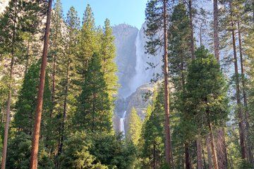 Los Angeles to Kings Canyon and Yosemite 2 Day Tour
