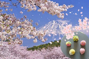 Cherry Blossoms and Mt. Fuji Spring Tour from Shimizu Port