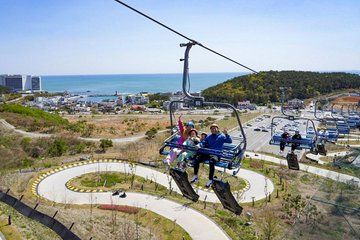 Skyline Luge Ticket Busan