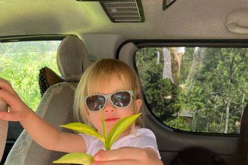 Sri Lanka 7 Days Private Tour with English Speaking Driver